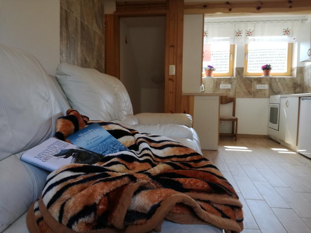 Guest House Ivanka Bohinj Extérieur photo